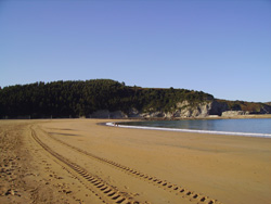 Playa de Plentzia